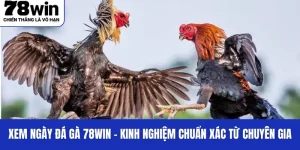 Một vài kinh nghiệm kinh xem ngày đá gà từ chuyên gia